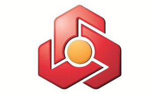 company_logo